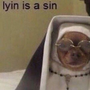 Meet your Posher, Danna